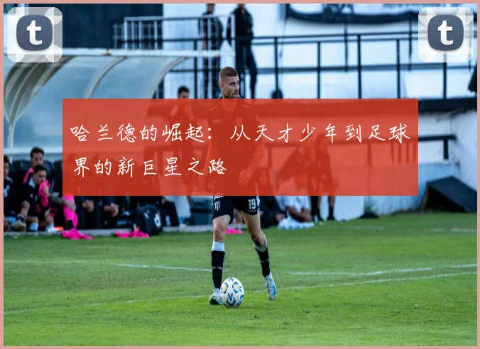 哈兰德的崛起：从天才少年到足球界的新巨星之路